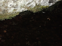 qua Rocca10062012 187